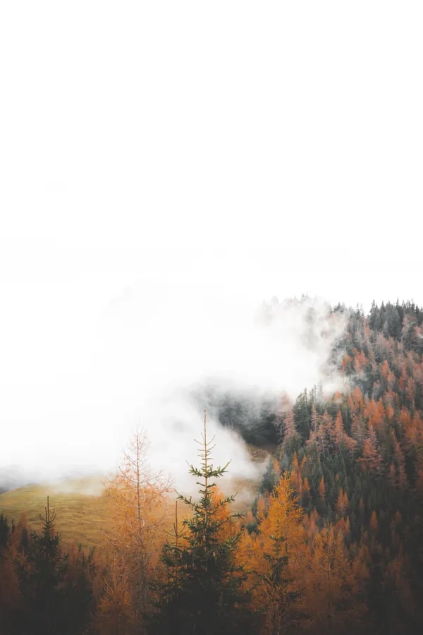 Noise CSS filter
